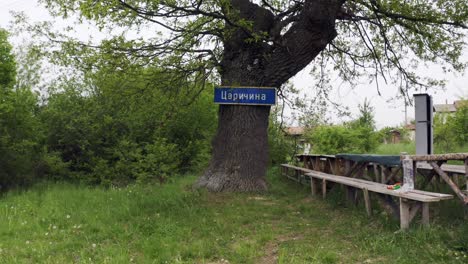 Toma-Panorámica-De-Izquierda-A-Derecha,-Frente-A-Un-árbol-Que-Es-Un-Hito-En-El-Barrio-De-Tsarichina-Hole-En-Bulgaria.