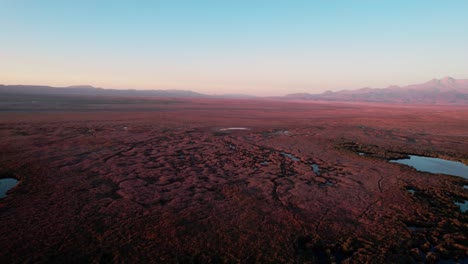 Drone-over-Sultan-Marshes-National-Park-In-Turkey,-Aerial-Shot