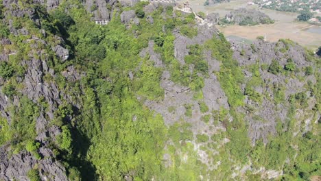 Drone-aerial-view-in-Vietnam-flying-over-green-trees-rocky-mountains-over-a-wide-brown-river-in-Ninh-Binh-with-dragon-sculpture-on-a-sunny-day