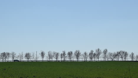 Cars-on-the-country-road-surrounded-with-treeline