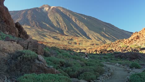 Wide-long-shot-of-tourist-woman-on-a-trail-in-Teide-National-Park,-Tenerife