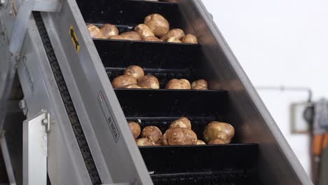 POV-SHOT-Potatoes-are-washed-in-water-and-ready-to-be-made-into-chips