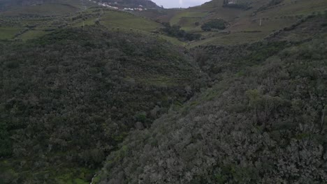 Hillside-Greens,-Peso-da-Régua,-Portugal---aerial