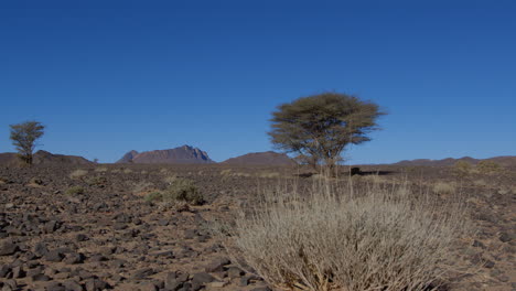 View-into-the-desert-in-africa