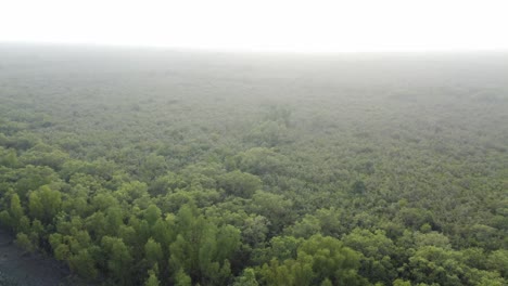 Vista-Aérea-De-Sundarban,-Que-Es-Uno-De-Los-Bosques-De-Reserva-De-Tigres-Más-Grandes-De-Asia.