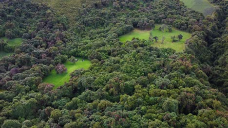 Luftpanorama-Eines-üppigen,-Unberührten-Waldes-In-Den-Lateinamerikanischen-Anden