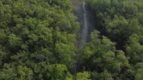 Ariel-view-shot-of-Sundarban,-which-is-one-of-the-biggest-tiger-reserve-forest-in-Asia