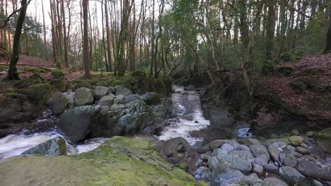 stream-in-forest-in-winter-light-Mahon-River-Comeragh-Mountains-Waterford-Ireland-winter-scene