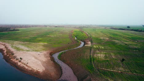 A-winding-river-alongside-lush-green-fields-in-pakistan,-early-morning-light,-aerial-view