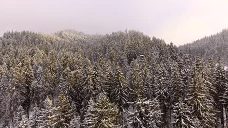 Antena-De-Un-Bosque-En-Fuertes-Nevadas.