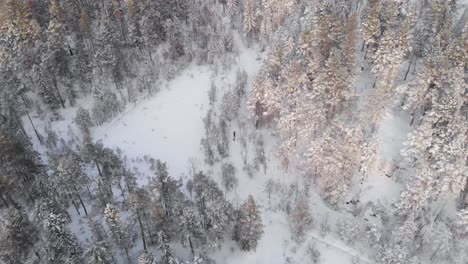 Man-On-Cross-Country-Skiing-With-A-Dog---Aerial-Drone-Shot