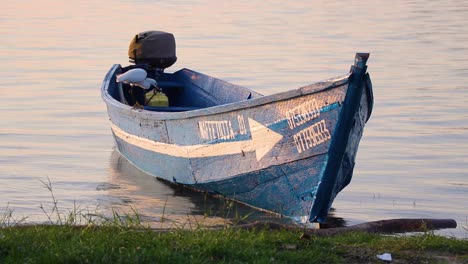 Cigüeña-Blanca-Camina-Al-Borde-De-Un-Barco-Pesquero-De-Madera-Azul-A-Orillas-Del-Lago-Victoria