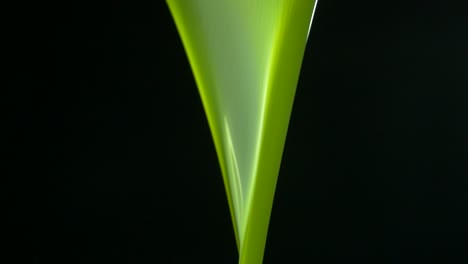 JET-OF-EXTRA-VIRGIN-OIL-OF-A-GREEN-COLOR