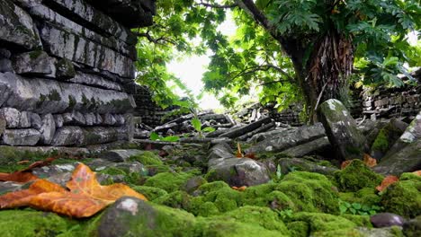 Vista-Panorámica-De-Las-Paredes-Exteriores-De-Piedra-Con-Un-Camino-Cubierto-De-Musgo-En-La-Antigua-Ciudad-De-Nan-Madol-En-Pohnpei,-Estados-Federados-De-Micronesia.