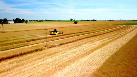 Combine-Harvester-Working-In-The-Field