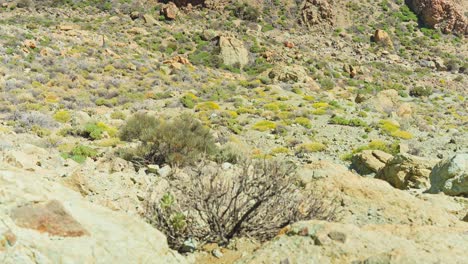 Raues-Sommerwetter-Am-Berg-Teide,-Teneriffa,-Spanien