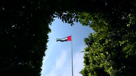 La-Bandera-De-Los-Emiratos-Árabes-Unidos-Ondea-Entre-La-Vegetación-En-La-Cornisa-De-Abu-Dhabi,-Simbolizando-Un-Futuro-Sostenible-En-Los-Emiratos-Árabes-Unidos.