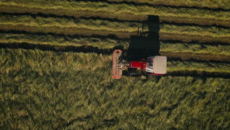 An-ihc-tractor-cutting-grass-in-golden-sunlight,-aerial-view