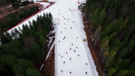 Aerial-view-of-group-of-skiers-going-downhill-on-snowy-slope,-Dolni-Morava