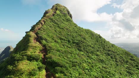 Lush-greenery-covers-Le-Pouce-Mountain-under-a-sunny-sky,-aerial-view