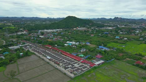 Pueblo-Inmobiliario-Rodeado-De-Campos-Verdes-Y-árboles-En-La-Provincia-De-Ratchaburi,-Tailandia.