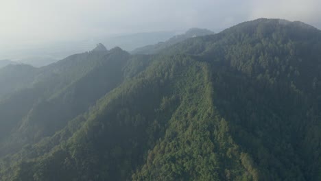 Luftaufnahme-Eines-Nebligen-Morgens-über-Dem-Bergwald