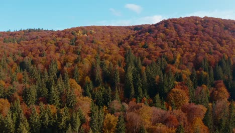 Herbstlicher-Wald-Im-Ciomadul-Massiv,-Kreis-Harghita,-Rumänien,-Mit-Lebendigen-Herbstfarben,-Luftaufnahme