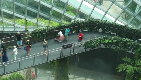 Tourists-walking-on-cloud-forest-aerial-walkway,-greenhouse-conservatory-with-temperature-control-and-mist-spraying-to-keep-the-environment-moist,-Gardens-by-the-bay-the-top-attraction-of-Singapore