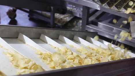 pov-shot-of-the-chips-on-the-conveyor-belt-going-into-the-packaging-process