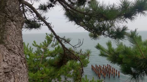 A-trucking-camera-movement-along-green-pine-trees,-metal-pillars-in-the-sea,-and-rocky-cliffside-ocean-waves-at-The-Sea-of-Japan-in-coastal-Busan,-South-Korea