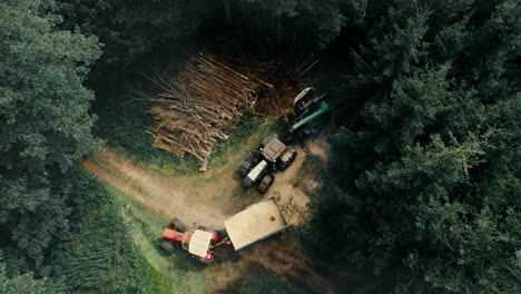 Logging-machinery-in-a-forest-clearing,-with-stacked-timber,-aerial-view