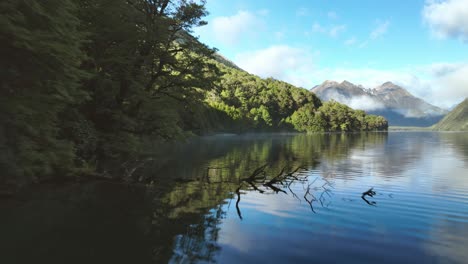 Grüner-Wald-Am-Ufer-Des-Lake-Gunn-In-Neuseeland,-Ruhiges-Wasser