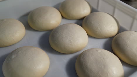 Pizza-dough-in-storage-tray.-Close-up
