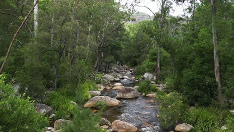 Wasser-Stürzt-Langsam-Einen-Abgelegenen-Bach-Hinunter,-Der-Durch-Eine-Buschszene-Im-Australischen-Outback-Fließt