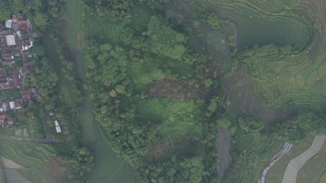 Aerial-top-down-view-of-indonesian-rural-landscape