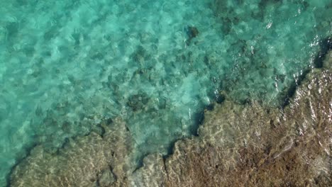 Aerial-view-of-ripple-turquoise-caribbean-sea,-tilt-up-reveal-huge-pristine-coral-reef