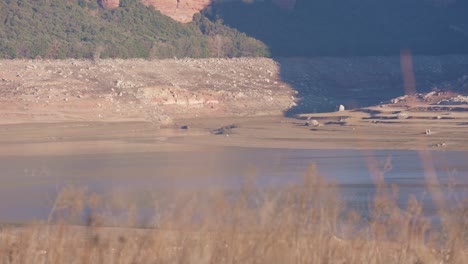 Der-Sau-Sumpf-Ist-Aufgrund-Der-Extremen-Trockenheit-Und-Des-Mangels-An-Regen-Ohne-Wasser