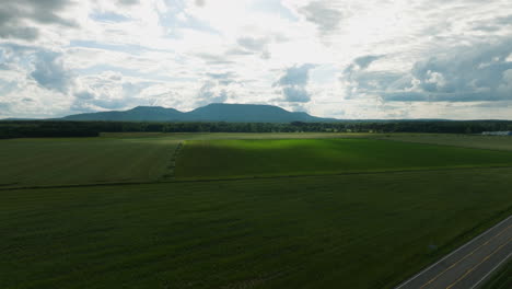 Expansive-aerial-view-of-lush-green-fields-near-Dardanelle,-AR-with-mountains-in-distance,-serene-vibe