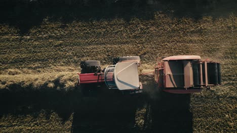 Tractors-harvesting-crops-in-a-field-at-sunset,-aerial-view