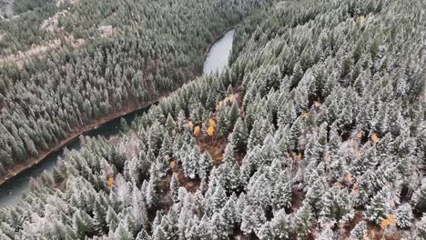 Árboles-Cubiertos-De-Nieve-Sobre-Montañas-Cerca-De-Sun-Valley,-Idaho,-Estados-Unidos