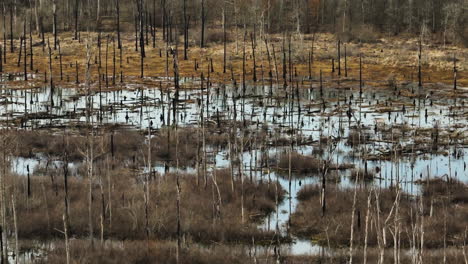 Paisaje-De-Humedales-En-El-Punto-De-Eliminar-El-área-De-Vida-Silvestre,-Blackwell,-Arkansas,-Sereno-Y-Natural.