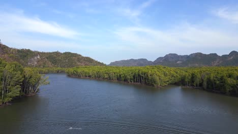 Manglares-Río-Colinas-Malasia-Langkawi