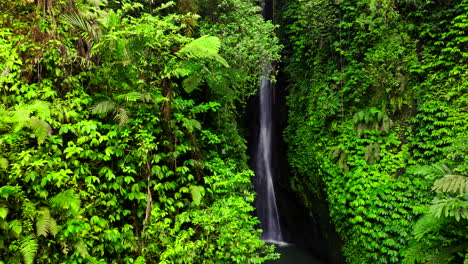 Leke-Leke-Wasserfall-Versteckt-In-üppiger-Vegetation,-Bali-In-Indonesien