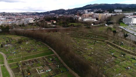 Campos-De-Agricultura-Comunitaria-En-La-Vista-Aérea-De-La-Ciudad