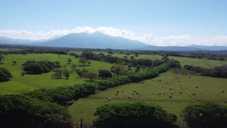 Montañas-De-Costa-Rica,-árboles-Frondosos,-Verde,-Video-Aéreo-De-Costa-Rica,-Selva,-Bosque