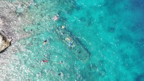 Snorkelers-in-clear-blue-waters-at-tugboat-beach,-curacao,-aerial-view