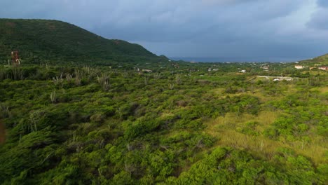 Drone-rises-above-hiking-hill-in-Curacao-to-reveal-homes-sprawling-below-in-lush-green-Caribbean-valley
