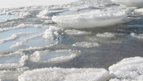 Eispfannen-Der-Ostsee-Schaukeln-Auf-Der-Gefrorenen-Wasseroberfläche-Im-Sanften-Winterwind