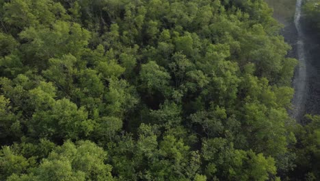 Luftaufnahme-Von-Sundarban,-Einem-Der-Größten-Tigerreservate-Asiens