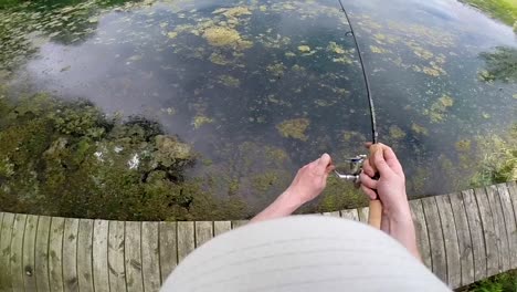 Fishing-for-Fish-From-a-Dock---High-Angle-Shot
